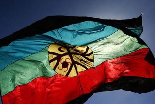 BANDERA MAPUCHE OK