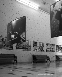 Foto facultad