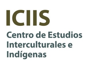 logo-castellano-iciis2